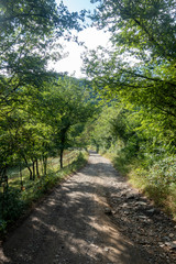 Fototapeta premium Natural environment of the town of Ripoll in Girona