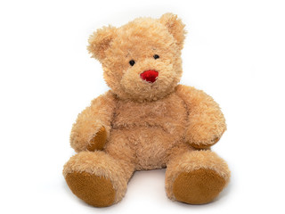 teddy bear doll on white background.