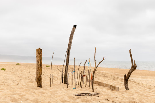 Nazare, Portugal - A collection of drifwood plade upright on the beach