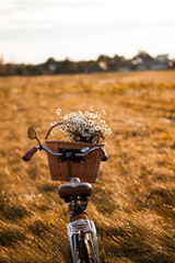 bike with basket with flowers against nature background
