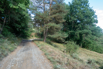 Natural environment of the town of Ripoll in Girona