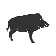 Wild boar Logo Design Vector. Template Illustration. Icon Symbol