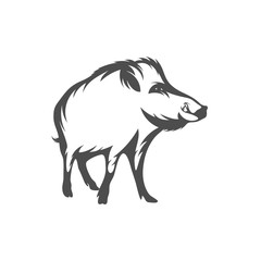 Wild boar Logo Design Vector. Template Illustration. Icon Symbol