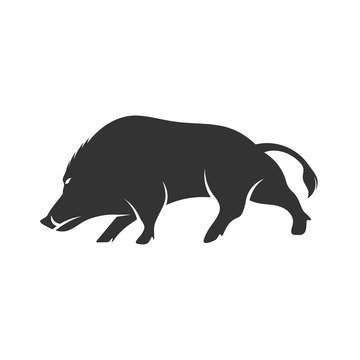 Wild boar Logo Design Vector. Template Illustration. Icon Symbol