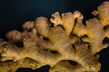 Close-up of a ginger root, fresh Ginger, Zingiber officinale