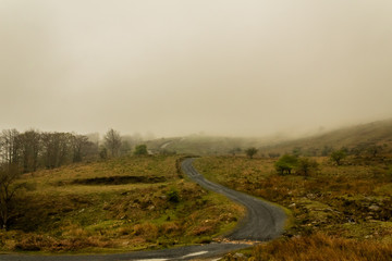 a foggy day in the forest of Belaustegui, on Mount Gorbea