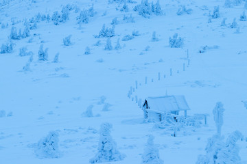 Fototapeta na wymiar house in winter