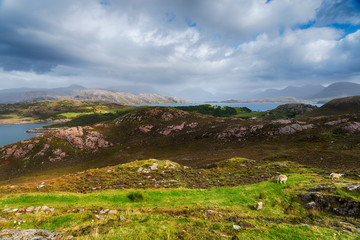 Looking out over Ardheslaig on the Applecross Peninsula