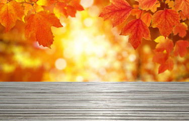 Naklejka na ściany i meble Wood texture and autumn leaves