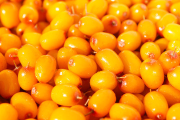 Ripe fresh berries of sea buckthorn. Close-up. Background. Texture.