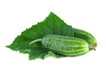 Cucumbers. Two fresh organic cucumbers with leaves isolated on white