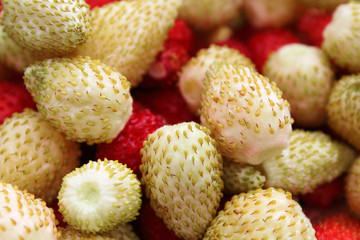 White and red strawberries. Close-up. Background. Texture.