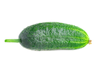 One organic small cucumber isolated on white background
