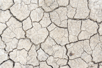 Crack soil on dry season, Global warming / cracked dried mud / Dry cracked earth background / The cracked ground, Ground in drought, Soil texture and dry mud, Dry land.