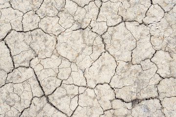 Crack soil on dry season, Global warming / cracked dried mud / Dry cracked earth background / The cracked ground, Ground in drought, Soil texture and dry mud, Dry land.