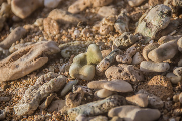 Variety of Rocks on a Beach in Kauai