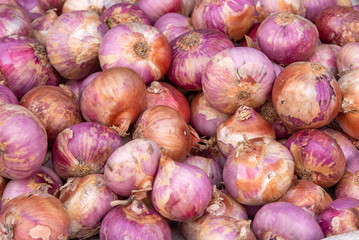 Close-up onions, herb for cooking and good health