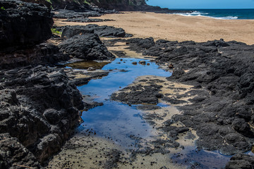 Tide Pool on Secret Beach in Kauai