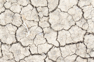 Crack soil on dry season, Global warming / cracked dried mud / Dry cracked earth background / The cracked ground, Ground in drought, Soil texture and dry mud, Dry land.