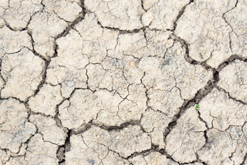 Crack soil on dry season, Global warming / cracked dried mud / Dry cracked earth background / The cracked ground, Ground in drought, Soil texture and dry mud, Dry land.