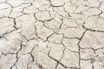 Crack soil on dry season, Global warming / cracked dried mud / Dry cracked earth background / The cracked ground, Ground in drought, Soil texture and dry mud, Dry land.