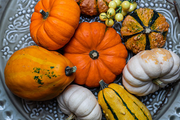 Close-up of pumpkin composition for fall