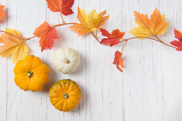 Mini pumpkins and Autumn leaves over white wooden background, copy space, top view