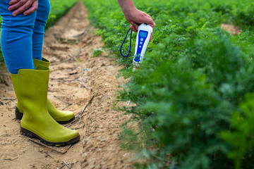 Measure soil with digital device. Green plants and woman farmer measure PH and moisture in the soil.