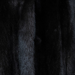 Texture of natural black shiny fur with beautiful wavy folds