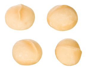 Macadamia