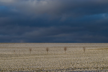 field and blue sky