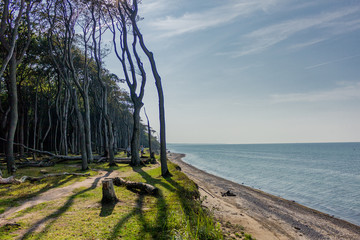Wunderschöner Spaziergang am Gespensterwald an der Ostseeküste - Nienhagen/Deutschland
