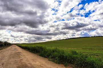 Fototapeta na wymiar landscape with green grass, road and clouds