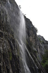 Cascada, Vivir es descubrir, Naturaleza Viva
