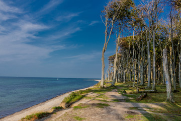 Wunderschöner Spaziergang am Gespensterwald an der Ostseeküste - Nienhagen/Deutschland