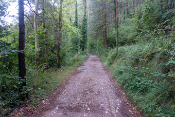 Natural environment of the town of Ripoll in Girona