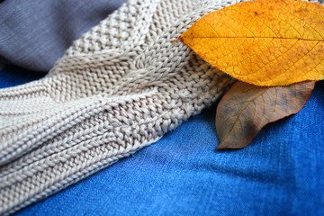 Fototapeta na wymiar Jeans, sweater, leaves. Knitted sweater, jeans and blouse. Top view. Autumn closet background. Bright autumn leaves lie on clothes.
