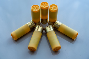 shotshell
