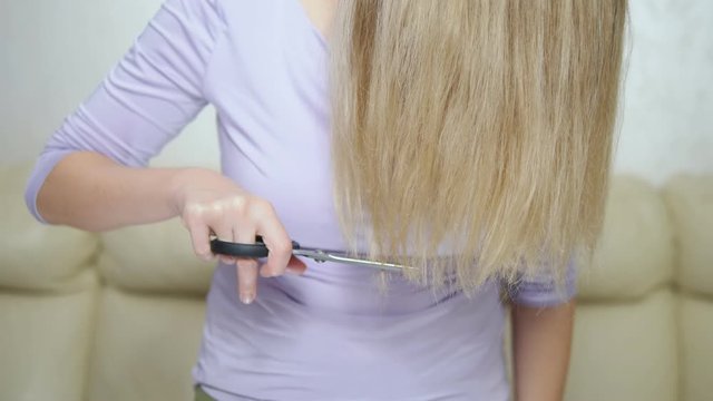 concept of damaged long hair. blond woman cuts hair ends with scissors.