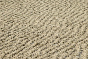 Wave structure in the sand