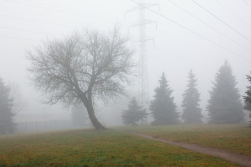 Autumn landscape with power line and trees in the fog