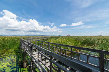 Fototapeta premium Wooden bridge over a lake with blue sky in Sam Roi Yod National Park, Prachuap Khiri Khan, Thailand