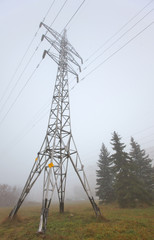 Autumn landscape with power line and trees in the fog