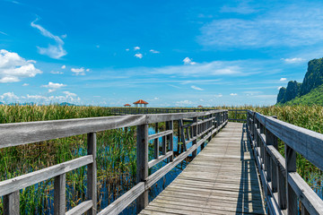 Obraz premium Wooden bridge over a lake with blue sky in Sam Roi Yod National Park, Prachuap Khiri Khan, Thailand
