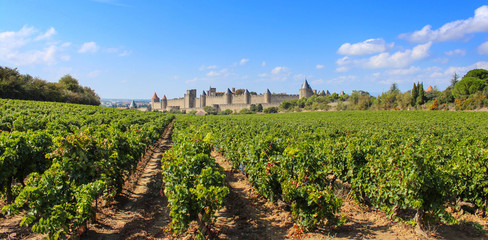 Fototapeta na wymiar Cité de Carcassonne / France