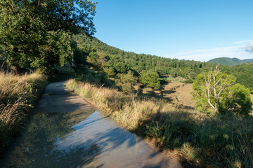 Natural environment of the town of Ripoll in Girona