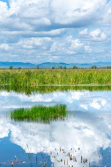 Lotus pond with natural scene and mountains with blue sky at khao sam roi yod national park, thailand