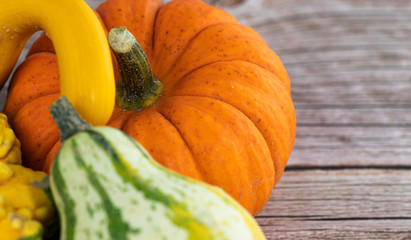 Pumpkin. Various, Vegetable. Orange. Season. Autumn. Fall