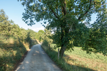 Natural environment of the town of Ripoll in Girona