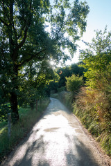 Obraz premium Natural environment of the town of Ripoll in Girona